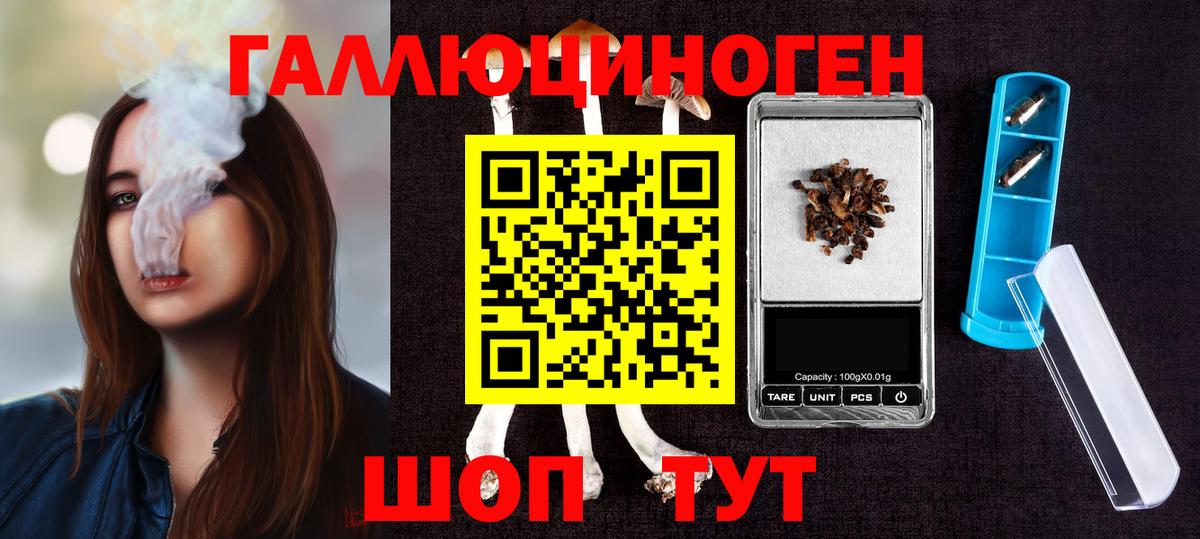 магазин продажи наркотиков  Вход с VPN  Фрязино  Галлюциногенные грибы мухоморы 